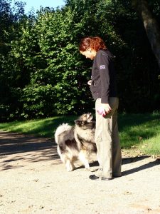 éducateur canin
