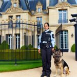 gardiennage-seine-et-marne---s--curit---r--sidentielle-et-services-466