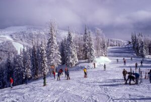 Ski en forêt