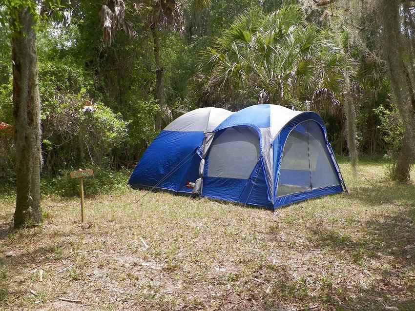 Une tente bleue dressée sous le couvert d'arbres dans une clairière forestière