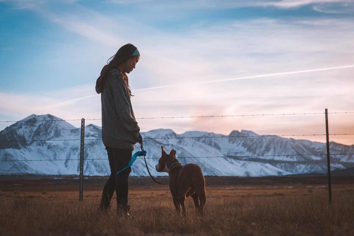 Femme tenant la laisse d'un chien dans un paysage montagneux enneigé